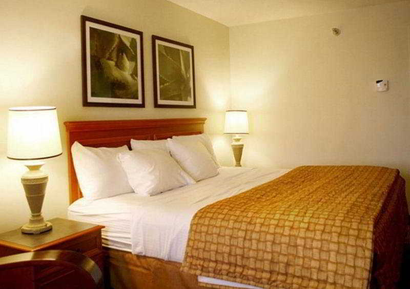 La Quinta By Wyndham Baton Rouge Siegen Lane Hotel Prairieville Exterior photo